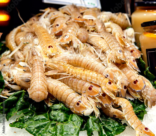 A mantis shrimp for sale at fish market on the Boqueria market, Barcelona, Spain.Scientific name: Oratosquilla oratoria