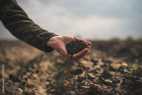 Tableau sur toile Female hands pouring a black soil in the field