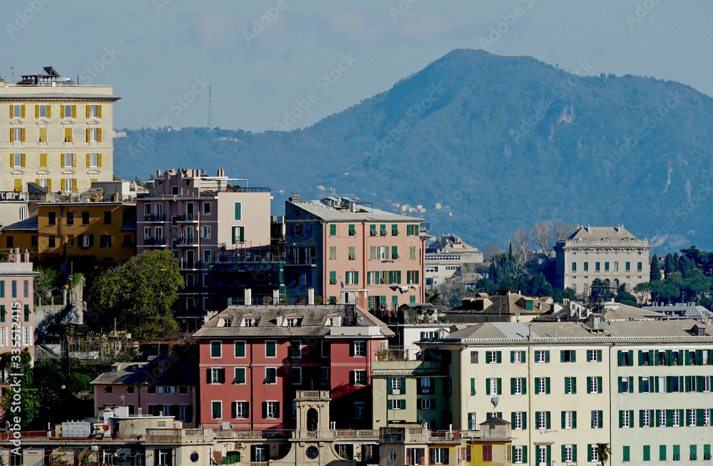Veduta panoramica dei tetti e delle costruzioni antiche del centro storico della città di Genova. Sullo sfondo, il promontorio con il monte di Portofino. 