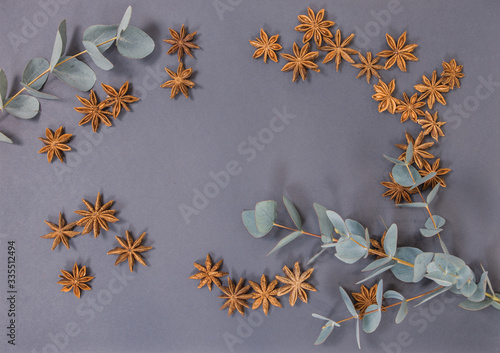 natural leaves of eucalyptus and star anise star lies on a gray background place for your text
