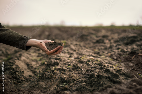 Tableau sur toile Female hands pouring a black soil in the field