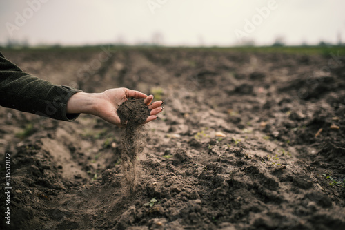 Tableau sur toile Female hands pouring a black soil in the field