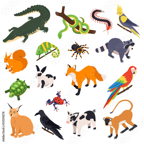 Exotic Pets Isometric Set 