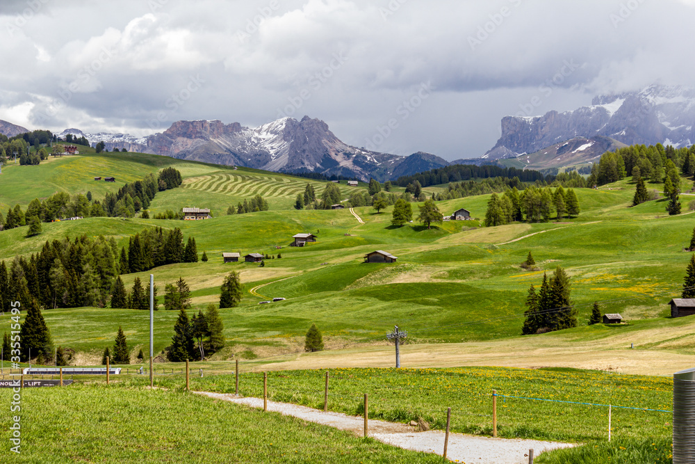 Alpe di Siusi - Seiser Alm - Langkofel mountain group in background in Dolomites, Trentino Alto Adige, South Tyrol, Italy
