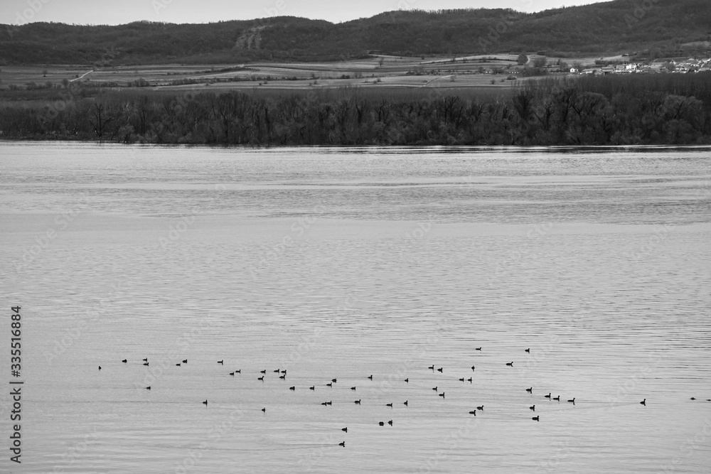Black and white landscape photography of Danube river in Serbia.