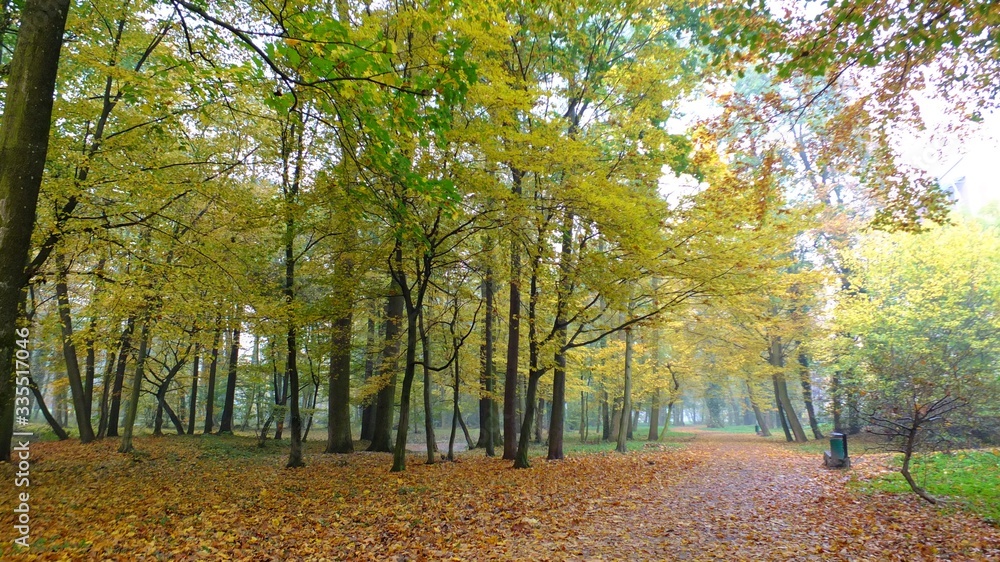 Jesień rozpieszcza kolorami w Strzeleckim parku