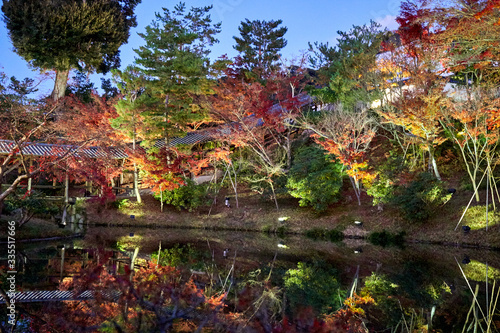 Autumn trees in Japanese style garden refelcting on the water in the evening