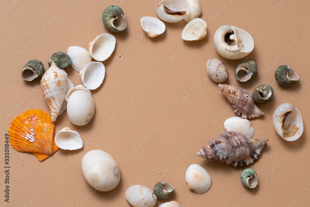 Obraz premium Different seashells on a ochre color background , the concept of holidays by the sea.