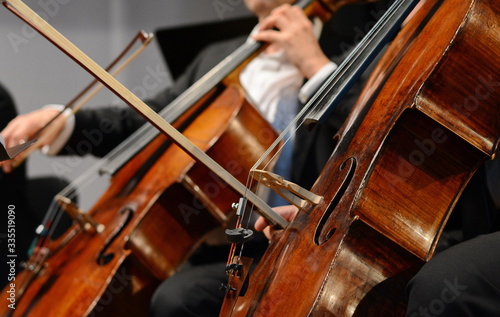 Symphony orchestra on stage, hands playing cello. Professional cello player's hands close up, he is performing with string section of the symphony orchestra