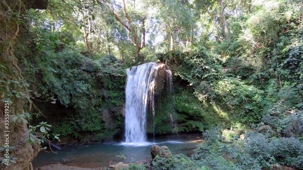Obraz premium Forest waterfall
