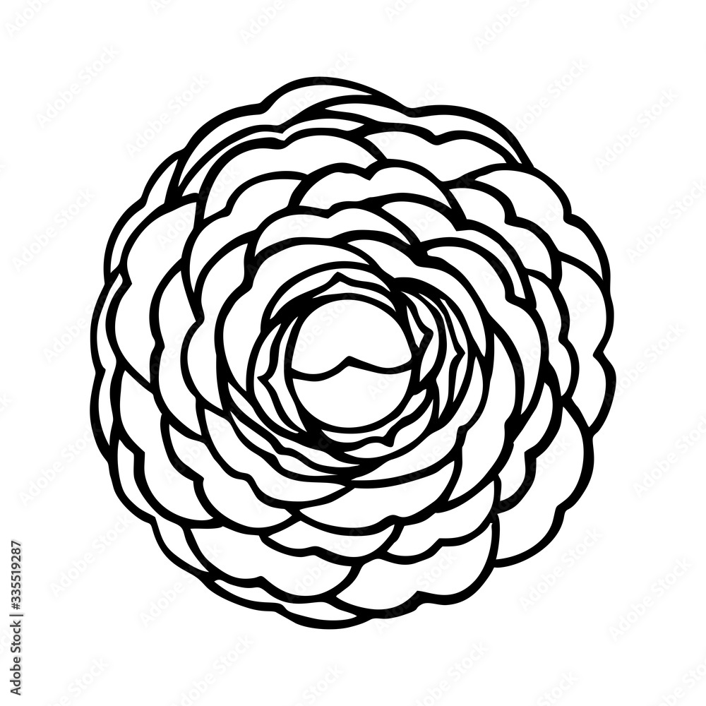 BLOOMING CAMELLIA IN THE VECTOR BLOOMING CAMELLIA IN THE VECTOR
