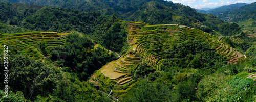 rice field terraces in the area of banaue,in Philippines 