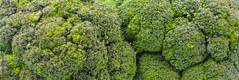 broccoli broccoli
