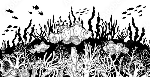 Hand drawn Clown fish in sea anemones coral reef, oceanic animal. Black and white