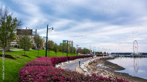 4K time lapse video of the Potomac River shore north of National Harbor, Maryland. Includes magenta flower hedges. During overcast Golden Hour to Blue Hour.