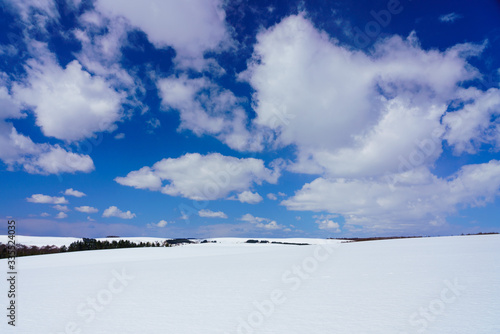 雪の丘