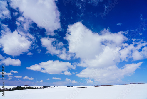 雪の丘