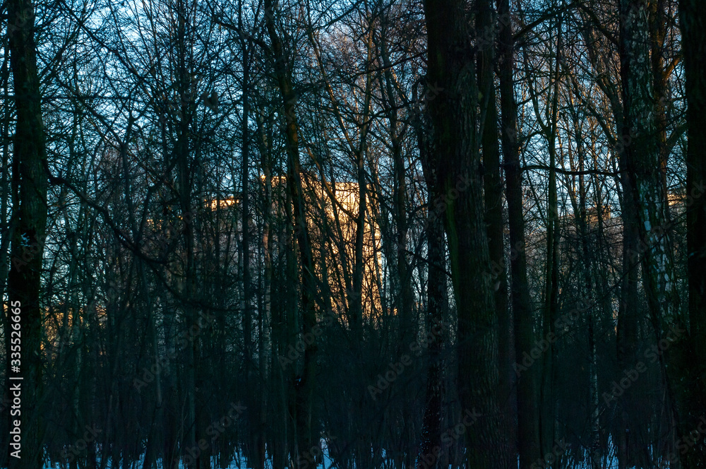 sunset in the winter forest a lot of snow, Moscow sunset in the winter forest a lot of snow, Moscow