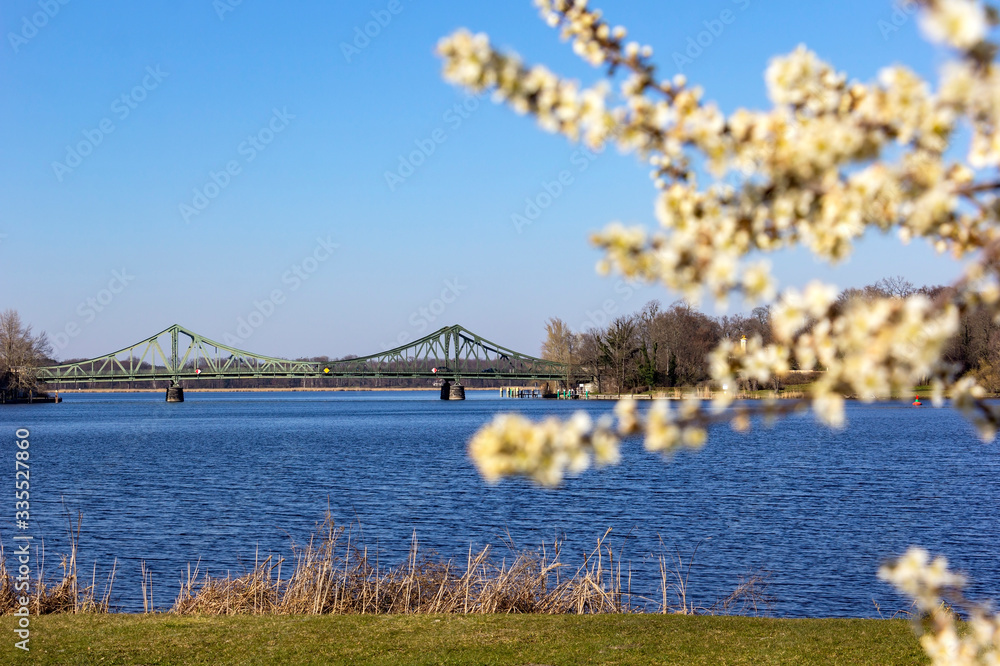 View to the famous Glienicke Bridge, Potsdam, in springtime with blooming trees