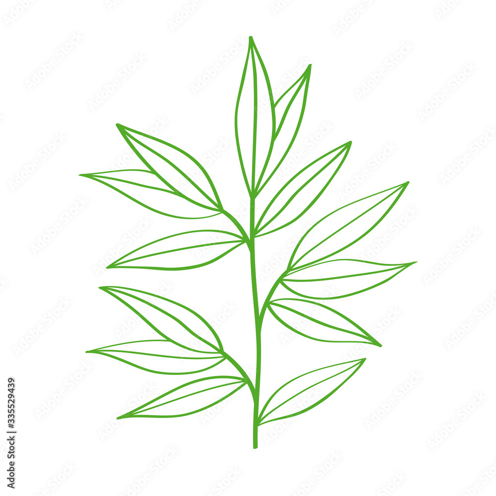 Branch with leaves hand drawn with green contour lines on white background