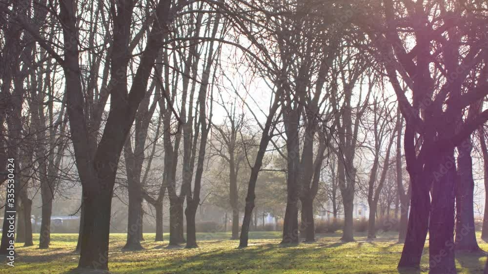 Morning sunshines in empty park. Empty city during quarantine.