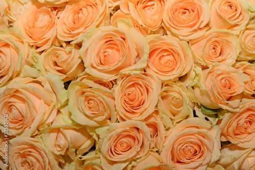 Background of bouquets of flowers. Roses. Design. Close up.