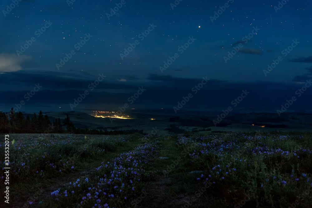 Naklejka premium flowers road mountains stars lights night