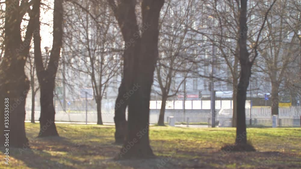 Morning sunshines in empty park. Empty city during quarantine. Morning sunshines in empty park. Empty city during quarantine.