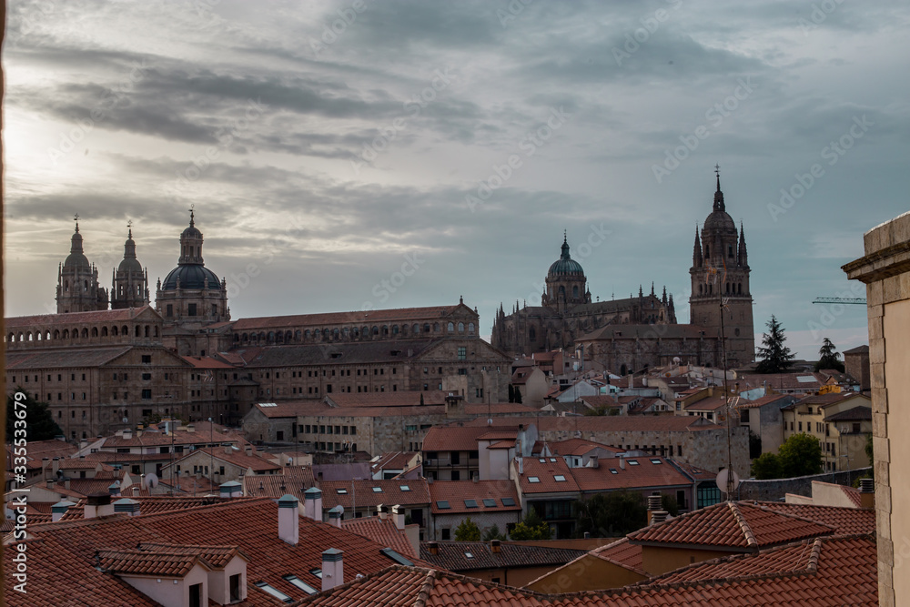 Fototapeta premium VISTA DE SALAMANCA