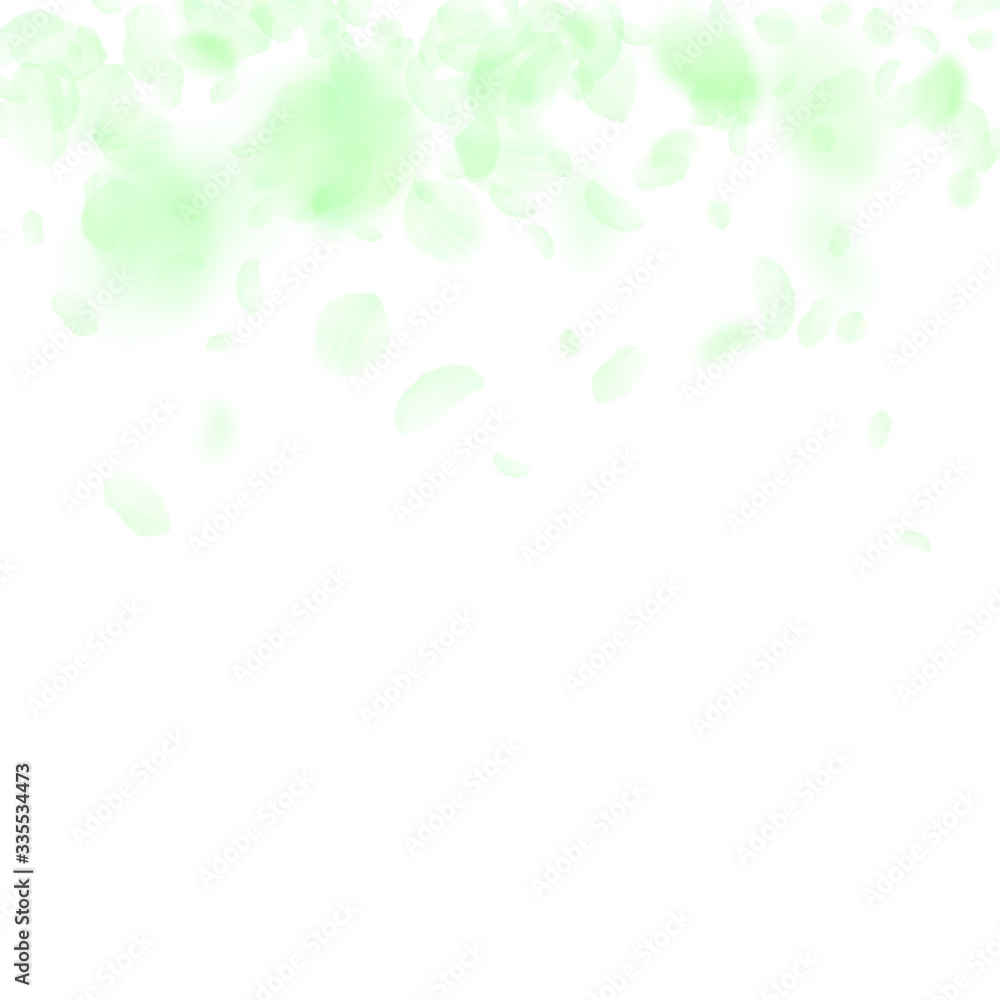 Green flower petals falling down. Worthy romantic Green flower petals falling down. Worthy romantic