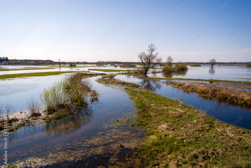 Fototapeta premium Wiosenne rozlewiska Narwi i Biebrzy. Podlasie. Polska