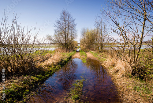 Wiosenne rozlewiska Narwi i Biebrzy. Podlasie. Polska