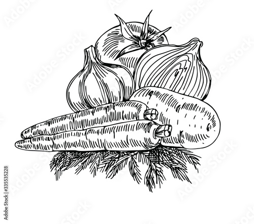 Carrot, garlic, tomato, onion, potato and dill in line art style.