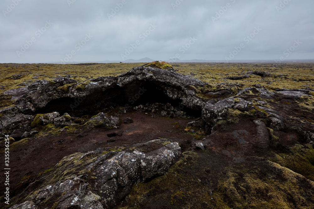 Iceland. lava fields in the moss.