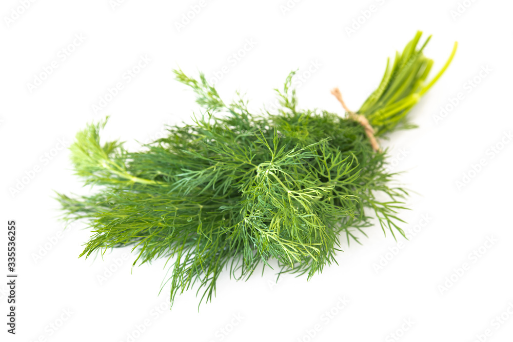 Fototapeta premium Fresh dill on a white background