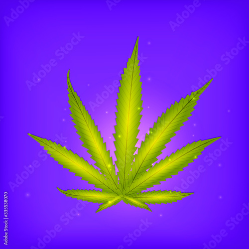 Cannabis leaf on a purple background