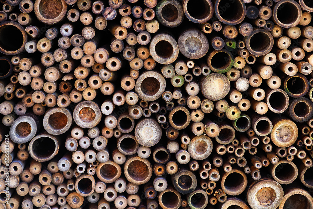 Bamboo dark trunks. Stack of old bamboo cuts, bamboo slices background, texture Bamboo dark trunks. Stack of old bamboo cuts, bamboo slices background, texture