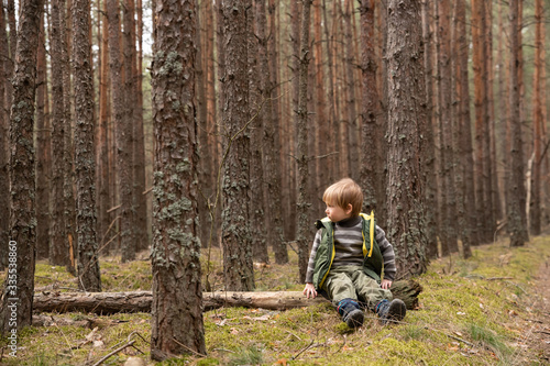 a small boy 4 years old sits on a fallen tree in a pine forest and looks to the right