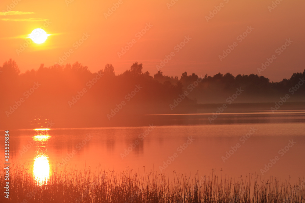 sunset on a forest lake, golden hour, natural background, landscape