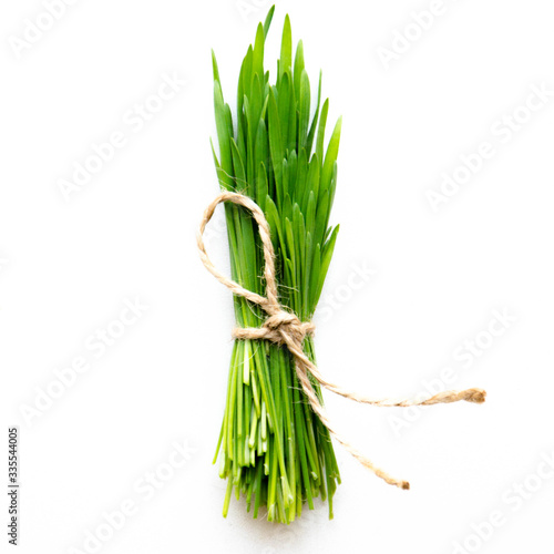 Wheat grass microgreen - fresh bunch isolated