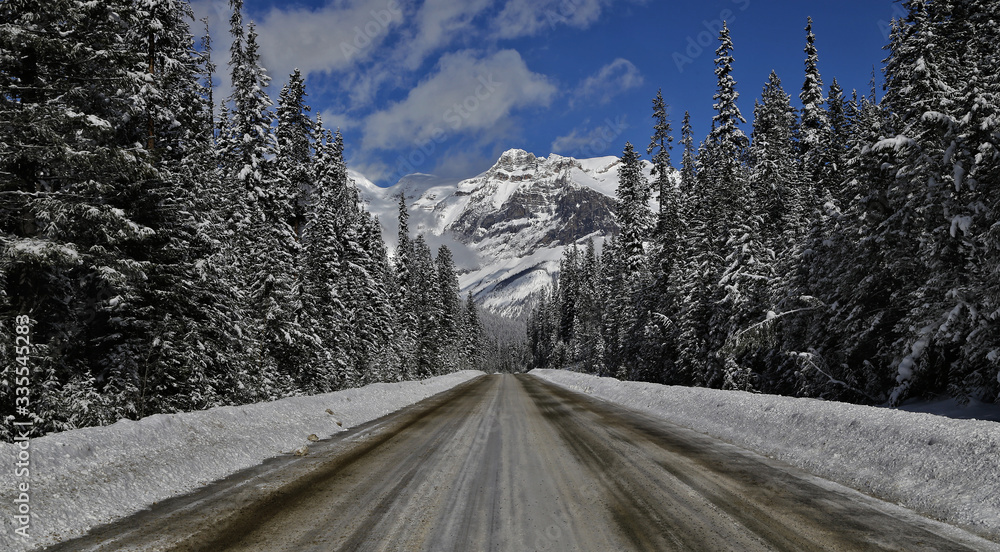 Driving into YoHo National Park Driving into YoHo National Park