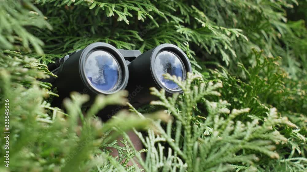custom made wallpaper toronto digitalPerson Hidden in Bush Peeping with Binoculars and Spying Others