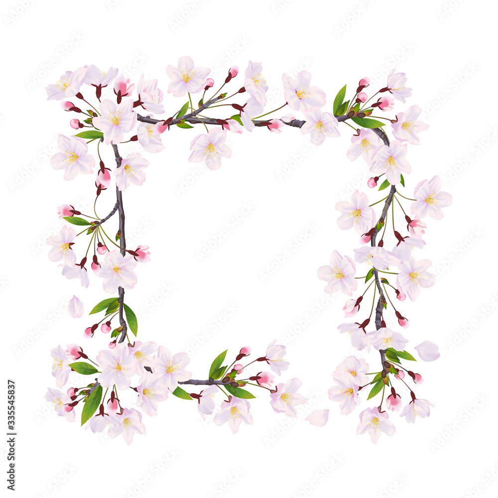 Blooming cherry. Decoration frame of flowers on the white background. Blooming cherry. Decoration frame of flowers on the white background.