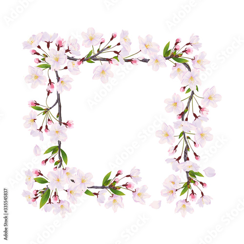 Blooming cherry. Decoration frame of flowers  on the white background.  © koroleva8