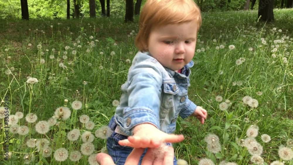 The little baby girl daughter pulls a dandelion and gives her dad, father in hand outdoors, on nature in the grass. Portrait, face. 4k. The little baby girl daughter pulls a dandelion and gives her dad, father in hand outdoors, on nature in the grass. Portrait, face. 4k.