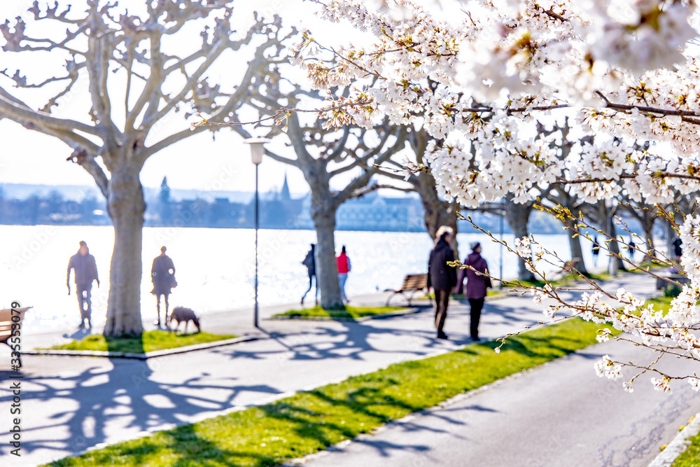 Spaziergang am Bodensee im Frühling, Konstanz
