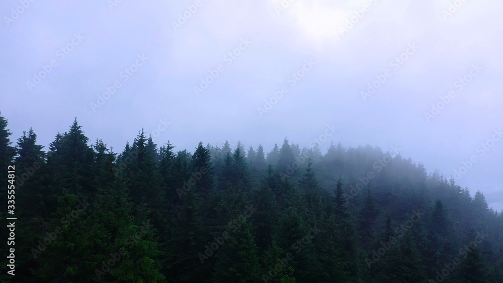 Close up beautiful view fog flying through the clouds above mountain tops clouds sky environment forest travel scene peak weather close up