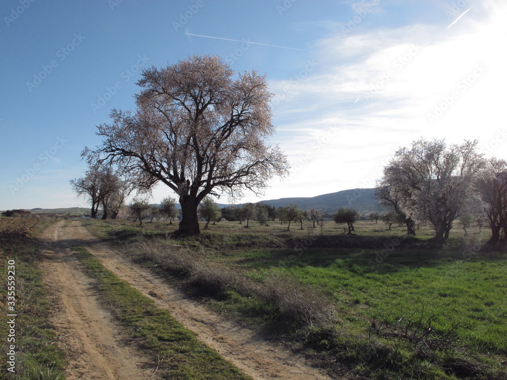 Obraz premium paisajes