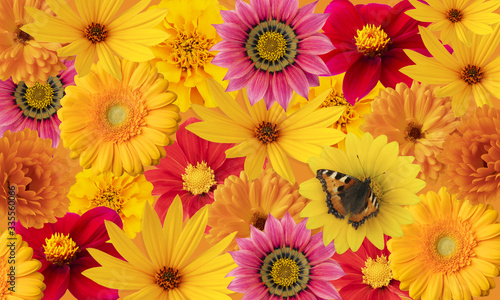 Floral background of bright flowers with a butterfly