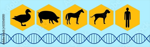 Graphic pictograms of animals - duck, pig, horse, dog and human